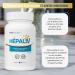 HepaLiv by Nutrisolution | Liver Health & Weight Loss Supports | Powerful Fat Burner | With Saffron Rosemary Kola Nuts | Made in France - Buy Online on GoSupps.com