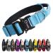 Tspro premium dog collar with handle thick adjustable dog collar heavy design of quick lock metal buckle dog collar for small or medium-sized to extra large dogs (blue-m) handle version size M- (adjustable37-46cm) blue