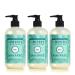 Mrs. Meyer's Hand Soap, Made with Essential Oils, Biodegradable Formula, Limited Edition Mint, 12.5 fl. oz - Pack of 3 Mint 3 Pack