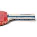 JOOLA Tour Carrying Case with Ping Pong Paddle, 18 Competition Balls, and Room for 2 Rackets - Durable High Density EVA Foam Lining - Table Tennis Storage Solution - Buy Online on GoSupps.com