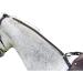 Shires Daisy Rein-Black One Size - Buy Online on GoSupps.com