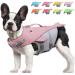 Vivaglory Dog Wimming vest for small and medium-sized dogs easy to take off and undress sporty dog swimming vest with adjustable nylongurten Sakura Rosa M: 56-64 cm (Ribcage Girth) Sakura Rosa