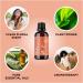 Relaxing Essential Oil Blends for Diffuser - Relax Dream and Clarify Essential Oils for Diffusers Aromatherapy and Sleep Time Relaxation with Lavender Oil - Buy Online on GoSupps.com