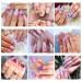 48 Colors Butterfly Glitter Nail Art Dried Flowers - 3D Holographic Sequins for DIY Crafting & Decoration - Buy Online on GoSupps.com