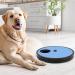 Beowanzk Multifunctional Dog Nail Scratchboard with 6-Compartment Food Storage - Blue - Buy Online on GoSupps.com