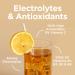 Stur Electrolyte Hydration Powder | Lemon Tea | Sugar Free | 100 Servings | High Antioxidants & B Vitamins | Non-GMO | Daily Hydration & Workout Recovery | Keto | Vegan(10.7 oz) - Buy Online on GoSupps.com
