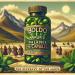 NAKURU | Boldo | Balance Range | Made in France | The Secret of the Andes! | (90 Capsules of 275mg / Net Weight: 24.5g) - Buy Online on GoSupps.com