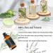 Royal Tranquility Aromatherapy Diffuser Oil - Luxury Hotel Scents Inspired by Ritz-Carlton | 3.38 Fl Oz | Pure Essential Oils with Lemon Jasmine & Amber - Buy Online on GoSupps.com
