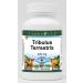 Tribulus Terrestris - 450 mg (100 Capsules ZIN: 510655) - 3 Pack