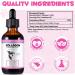 Collagen for Dogs Liquid Collagen for Dogs Collagen Supplement for Dogs Collagen Boost for Dogs with Biotin Bacon Flavor 2 Fl Oz - Buy Online on GoSupps.com
