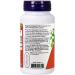 Now Foods Dong Quai 520 mg - 100 Veg Capsules for Women's Health | Shop Now - Buy Online on GoSupps.com