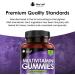High Strength Vegetarian Multivitamin Gummies for Adults - 14 Essential Vitamins & Minerals - Gluten Free, Non-GMO - Vitamin C, A, D, E, B12, B6, Biotin, Zinc, Iodine - 60 Count - Buy Online on GoSupps.com