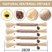 Tuibeidamai Matatabi Catnip Sticks Set - 4pcs Cat Teeth Cleaning Toys for Biting Chewing & Play - Buy Online on GoSupps.com