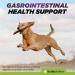 Digestive Aid for Dogs | Soothing & Anti-Inflammatory Blend with Dandelion Slippery Elm & Marshmallow Root for Optimal Gastrointestinal Health - Buy Online on GoSupps.com
