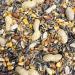 Squirrel Mixture 500g - Premium Wild Life Food Seed Feed for Garden - SMW - Buy Online on GoSupps.com