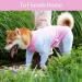 Surgical Recovery Suit for Dogs | Breathable Postoperative Pajamas | Anti-Lick Long-Sleeved 3XL in Pink | Ideal for Abdominal Wounds & Post-Surgery Care - Buy Online on GoSupps.com