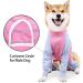 Shop XL Pink Dog Operating Suit - Breathable Anti-Lick Pajamas for Post-Op Recovery | One-Divider with Legs - Buy Online on GoSupps.com
