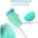 Senyum Replacement Toothbrush Heads for Philips Sonicare - E-Series Compatible - 6 Pack (Pack of 1) - Buy Online on GoSupps.com
