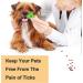 Shubeeieumi Tick Remover 4 Pack Tick Cards with Magnifying Glass for Humans Kids Dogs & Cats Easy Dusting (Blue & Green) - Buy Online on GoSupps.com
