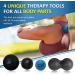 Invincible Fitness Muscle Massage Ball Set - Physical Therapy Trigger Point Release Tools - 5 Foam Lacrosse, Peanut & Spiky Balls with Carry Bag - Buy Online on GoSupps.com