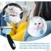 Maikehigh Pet Deshedding Grooming Tool | Fur Shedding Rake for Dogs & Cats | Blue - Buy Online on GoSupps.com