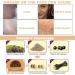 Oil Absorbing Roller Professional Reusable Portable Volcanic Facial Roller for Home Travel Use - Buy Online on GoSupps.com