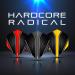 RED DRAGON Hardcore Selection Pack - Extra Thick Black Dart Flights | Standard Size - Buy Online on GoSupps.com