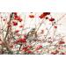 Cramp Bark/ corce De Crampe (Viburnum Opulus) - Health Embassy - 100% Natural (100g) - Buy Online on GoSupps.com