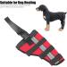 Dog Hind Leg Brace Dog Supplies Dog Health and Supplies Comfort Dog Knee Pads Brace to Heal Pain Caused by Surgery with Reflective Strip Dog Health and (M) - Buy Online on GoSupps.com