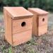 Wooden Multi-Hole Wild Bird Classic Nest Box Birdhouse (Pack of 2) - Buy Online on GoSupps.com