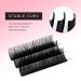 TDANCE Premium D Curl Eyelash Extensions 0.05mm + Ellipse Flat Lashes 0.15 D Curl 8-15mm - Mixed Lengths - Buy Online on GoSupps.com