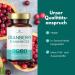 SOLVISAN Cranberry D-Mannose - Unique Echinacea & Vitamin C+D Formula - 60 Capsules for Urinary Health | International Shipping Available - Buy Online on GoSupps.com