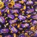 Eclairs Classic Chocolates 250g - Caramels With Milk Chocolate Centres - Buy Online on GoSupps.com