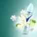Degree Antiperspirant Spray Deodorant for Women Apple & Gardenia 72-Hour Protection 3.8 Ounce (Pack of 3) Apple and Gardenia 3.8 Ounce (Pack of 3) - Buy Online on GoSupps.com