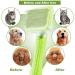 Garstor Self-Cleaning Pet Brush for Dogs, Cats, and Rabbits - Removes Loose Fur and Undercoat - Green - Buy Online on GoSupps.com