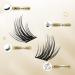 Buy D Curl Individual Eyelash Clusters - 72 Stacks Mix 8-16mm for DIY Extensions | Perfect for Eye Makeup - Buy Online on GoSupps.com