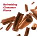 Chomp Toothpaste Tablets Refill - Cinnamon Single Pack - Buy Online on GoSupps.com