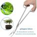Capetsma Long Stainless Steel Aquascaping Tools Set - Aquarium Tweezers, Scissors, Spatula & Algae Scraper | Bonsai Kit for Aquarium Cleaning - Silver - Buy Online on GoSupps.com