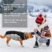 Kuoser Waterproof Dog Coat - Cold Weather Jacket for Small & Medium Dogs | Fleece Lined Reflective Winter Vest - Cozy Pet Clothing - Size M Black - Buy Online on GoSupps.com