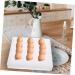 Zerodeko Rutin Egg Protection Egg Holder for Fridge Chicken Egg Container Foam Egg Holder Refrigerator Devil - Buy Online on GoSupps.com
