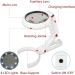 Magnifying Glass with 8 LED Lights Handsfree Magnifier 5X+11X Dual Magnification Lens Gentle & Bright Light Settings Ideal for Reading Books Jewlery Coins Craft & Hobbies - Buy Online on GoSupps.com