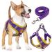 Rennaio dog harness no pull adjustable puppy dishes with 2 linen clips ultra comfortable chest harness and leash set for small and medium-sized dogs (purple XL) purple XL