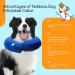 Nobleza Inflatable Protective Collar for Dogs & Cats | Adjustable Recovery Ruff for Surgery & Injuries | Comfortable Velcro Fastener (Blue M - 10-13 inch) - Buy Online on GoSupps.com