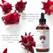 Organic Hair Growth Set - Ayurvedic Shampoo & Conditioner for Hair Loss | No GMOs Sulfates Gluten Parabens - Buy Online on GoSupps.com