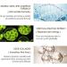 VYOFLA Magic Eye Cream - 2022 New Anti-aging Solution | Rapidly Removes Eye Bags, Wrinkles & Dark Circles in 28 Seconds | Vibrant Glamour Formula | 1PCS - Buy Online on GoSupps.com