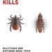 Raid Flea Killer Carpet & Room Spray, Kills hatching eggs for up to 4 months, 16 Oz - Buy Online on GoSupps.com