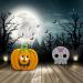 Sensory Chew Necklace for Kids 2 Pack Silicone Baby Teether Toys Santi & Me Teething Toys for Babies Halloween Toys Xmas Christmas Gift(Halloween teether) - Buy Online on GoSupps.com