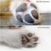 POPETPOP Dog Paw Clippers - Low Noise Cordless Electric Trimmer | USB Rechargeable 2-Speed Grooming Kit for Small Dogs/Cats - Buy Online on GoSupps.com