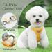 Premium Adjustable Cat Dishes - Break-Safe Design with Leash & Soft Chest Harness | Ideal for Kittens & Puppies - Buy Online on GoSupps.com