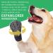 Expawlores Anti-Slip Dog Socks | Paw Protection with Adjustable Ribbons | Soft Elastic Fabric for Wooden Floors | Size M Black - Buy Online on GoSupps.com